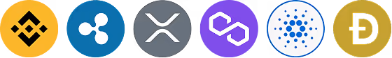 Badge certificato di partnership finanziaria Flowdex